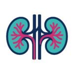 Nephrology