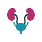 Urology
